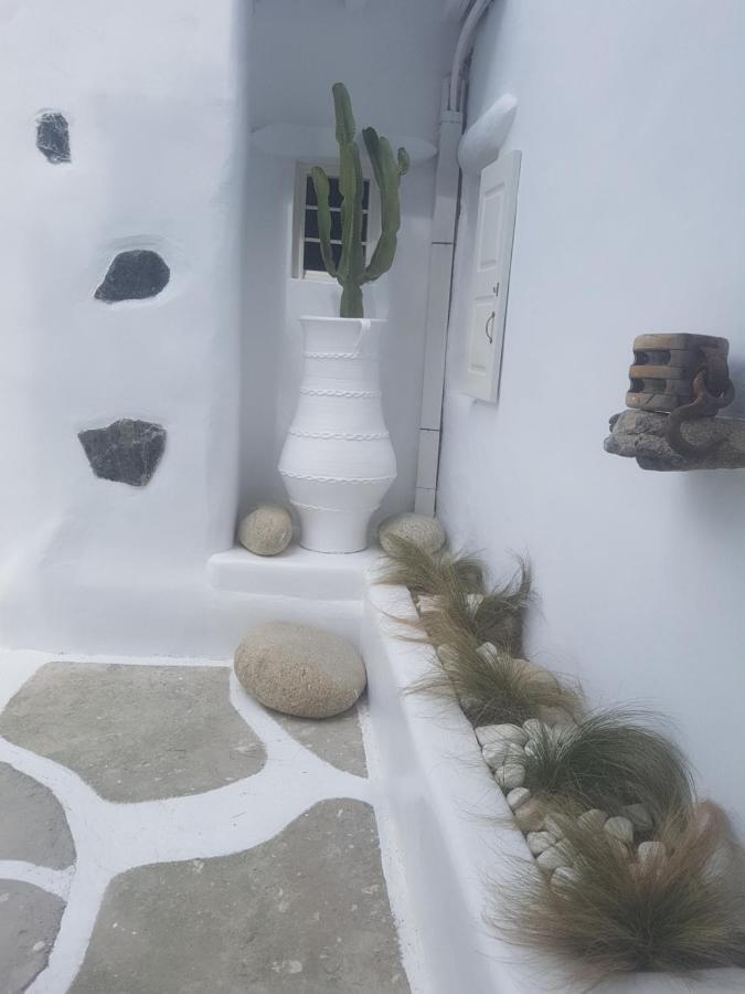 Cassaris Mykonos Βίλα Δραφάκι Εξωτερικό φωτογραφία