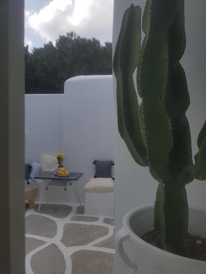Cassaris Mykonos Βίλα Δραφάκι Εξωτερικό φωτογραφία