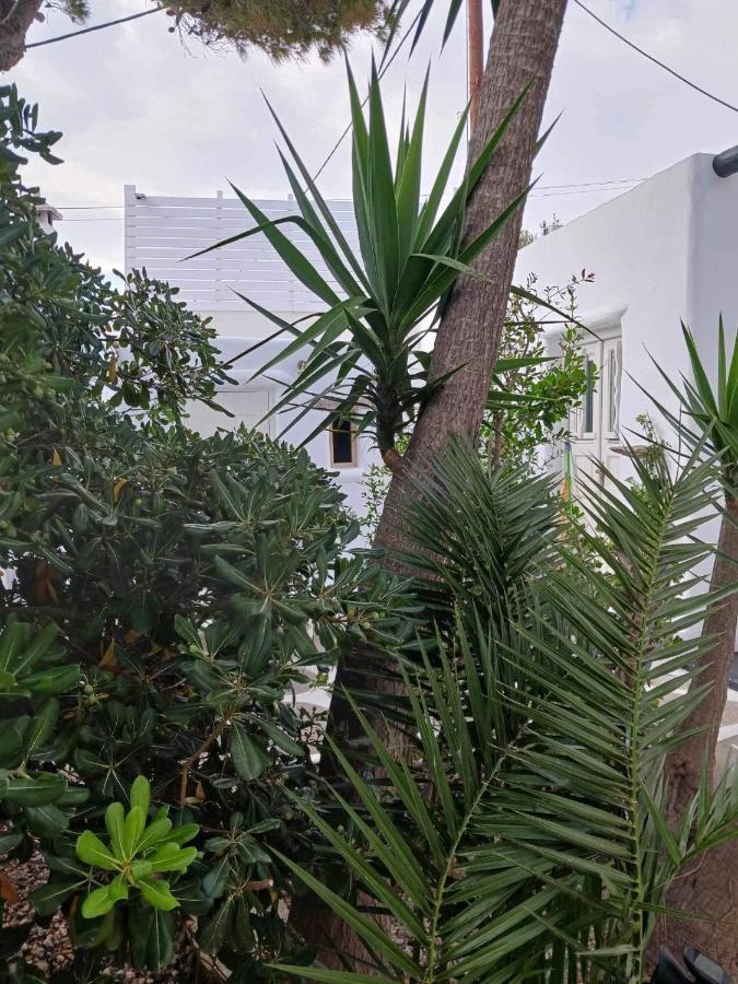 Cassaris Mykonos Βίλα Δραφάκι Εξωτερικό φωτογραφία