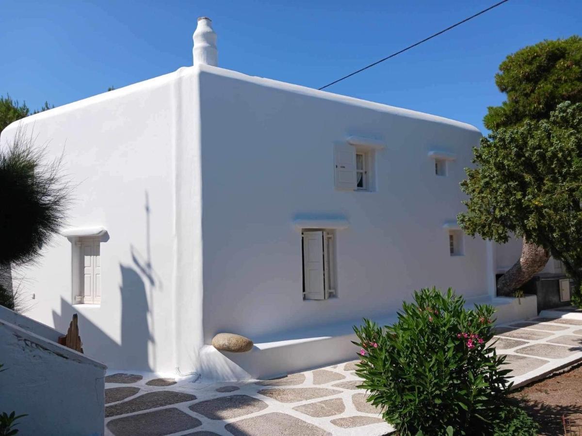 Cassaris Mykonos Βίλα Δραφάκι Εξωτερικό φωτογραφία