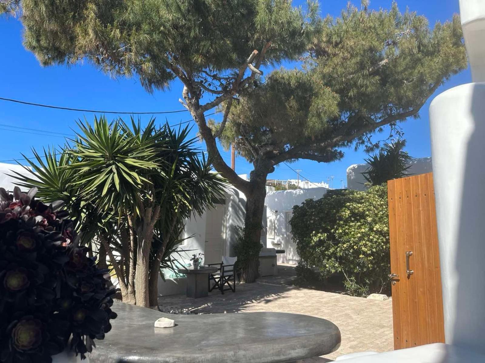 Cassaris Mykonos Βίλα Δραφάκι Εξωτερικό φωτογραφία